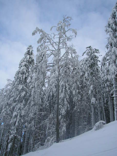 zima1 005.jpg