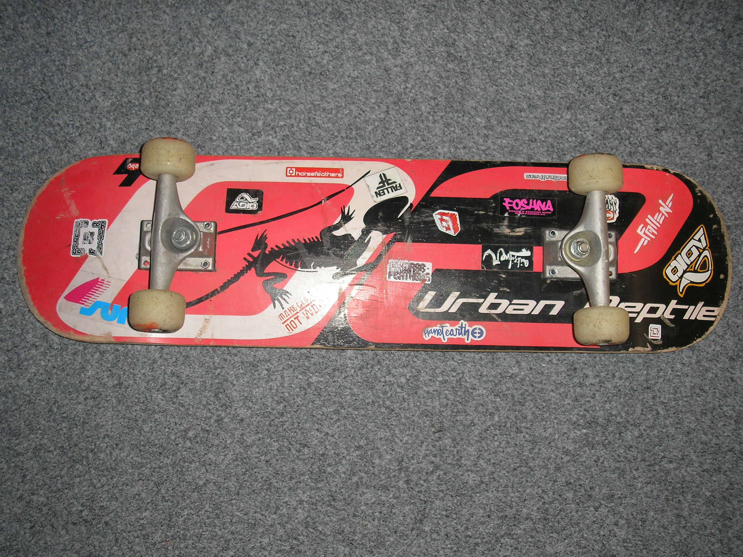 skateboard 003.jpg